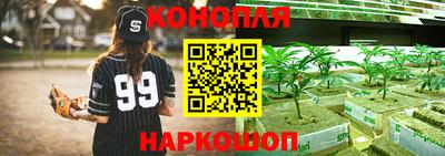 ГАЛЛЮЦИНОГЕННЫЕ ГРИБЫ Краснокаменск