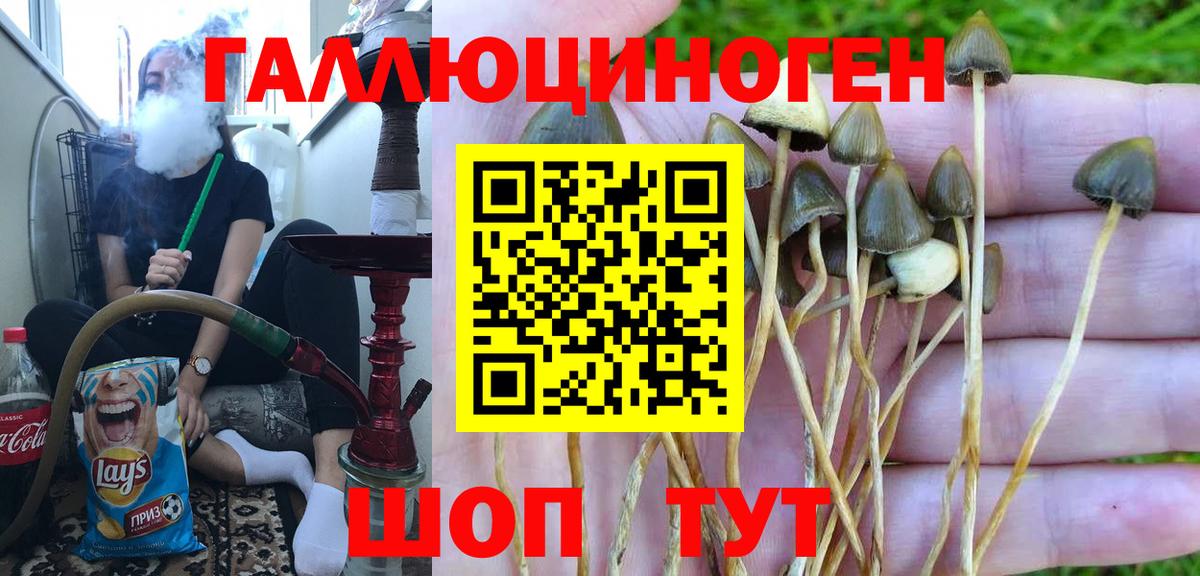 Псилоцибиновые грибы мицелий  Псилоцибиновые грибы Psilocybine cubensis  Лабытнанги 