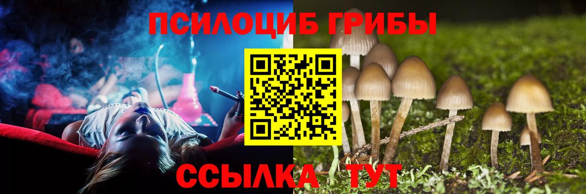 Галлюциногенные грибы Psilocybe Лабытнанги